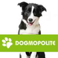 Dogmopolite